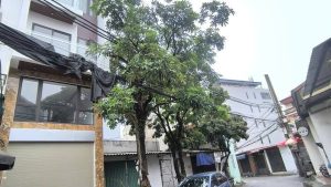 Bán nhà đẹp Chợ Đồng Dinh Thạch Bàn